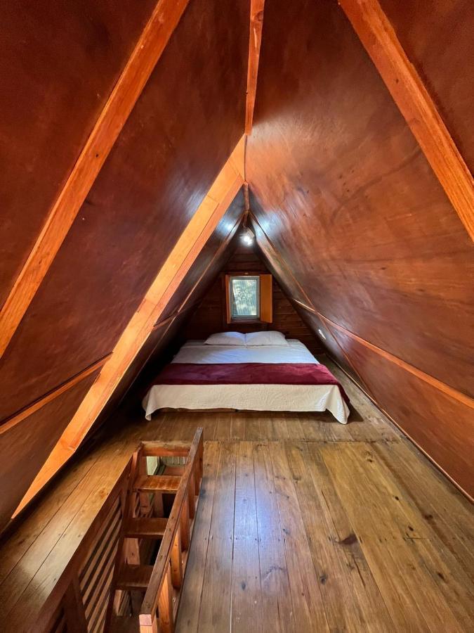 Hotel Cerveceria James Xilitla Ngoại thất bức ảnh