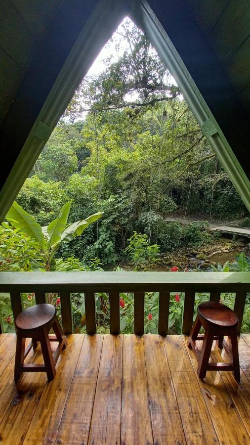 Hotel Cerveceria James Xilitla Ngoại thất bức ảnh