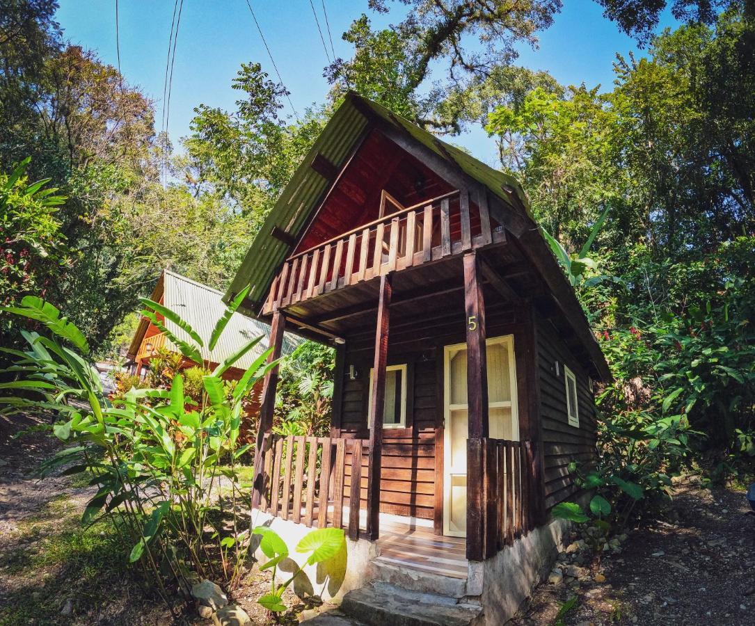 Hotel Cerveceria James Xilitla Ngoại thất bức ảnh